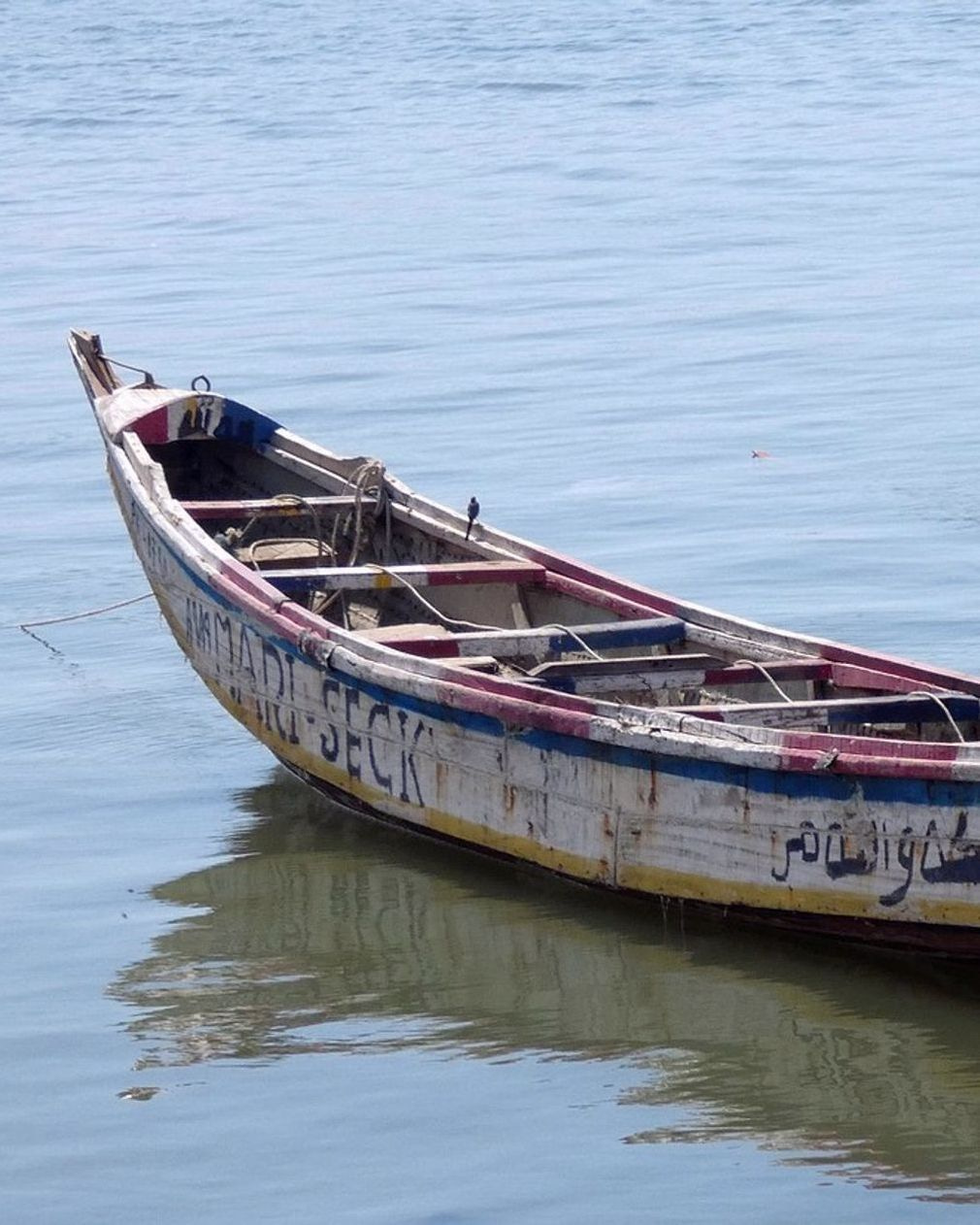 O rio ao amanhecer